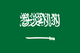 沙特logo