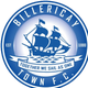 比勒瑞卡女足logo