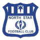 北极星女足logo