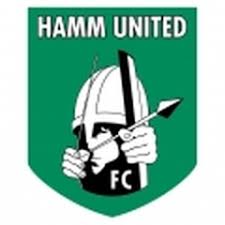 哈姆联logo