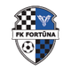FC富图纳logo