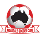 阿马达尔女足logo