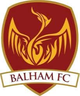 巴勒姆logo