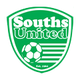 南部联合logo