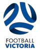 新兴体育会女足logo