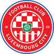 卢森堡城logo