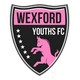 威克斯福德青年女足logo