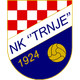 特瑞内logo