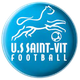 圣维特女足logo