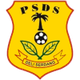 PSDS德利logo