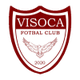 维索卡logo