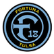 塔尔萨女足logo