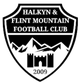 弗林特山logo