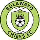 布拉瓦约酋长logo