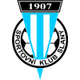 SK斯拉尼logo